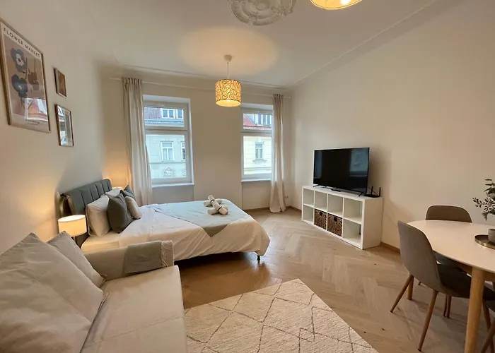 Luxurious One Room Apartment Near Schoenbrunn Palace