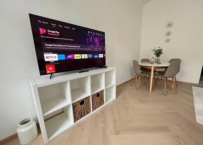 Luxurious One Room Apartment Near Schoenbrunn Palace