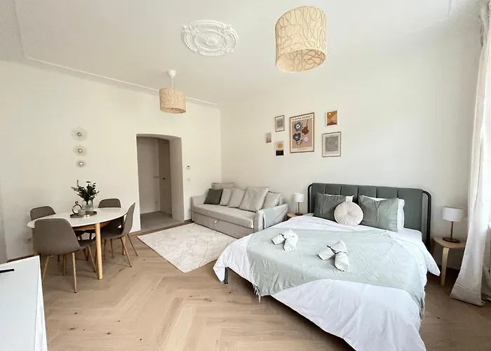 Luxurious One Room Apartment Near Schoenbrunn Palace
