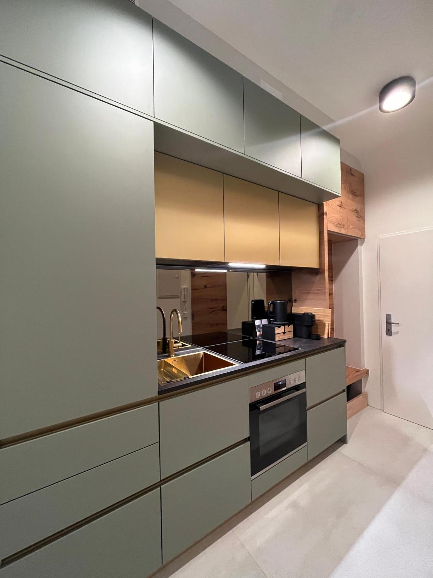 Luxurious One Near Schoenbrunn Palace Apartment Vienna