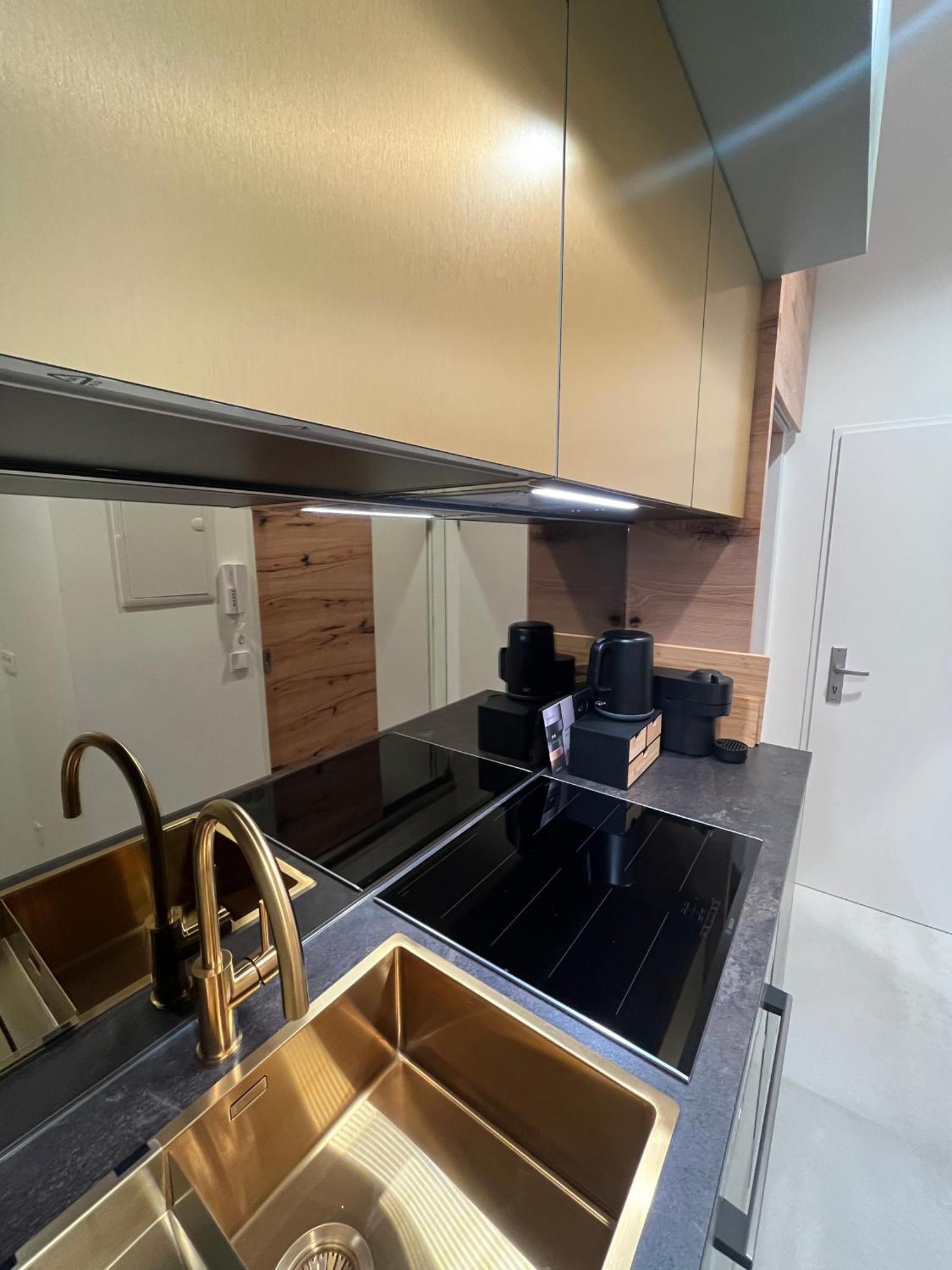 Luxurious One Near Schoenbrunn Palace Apartment Vienna