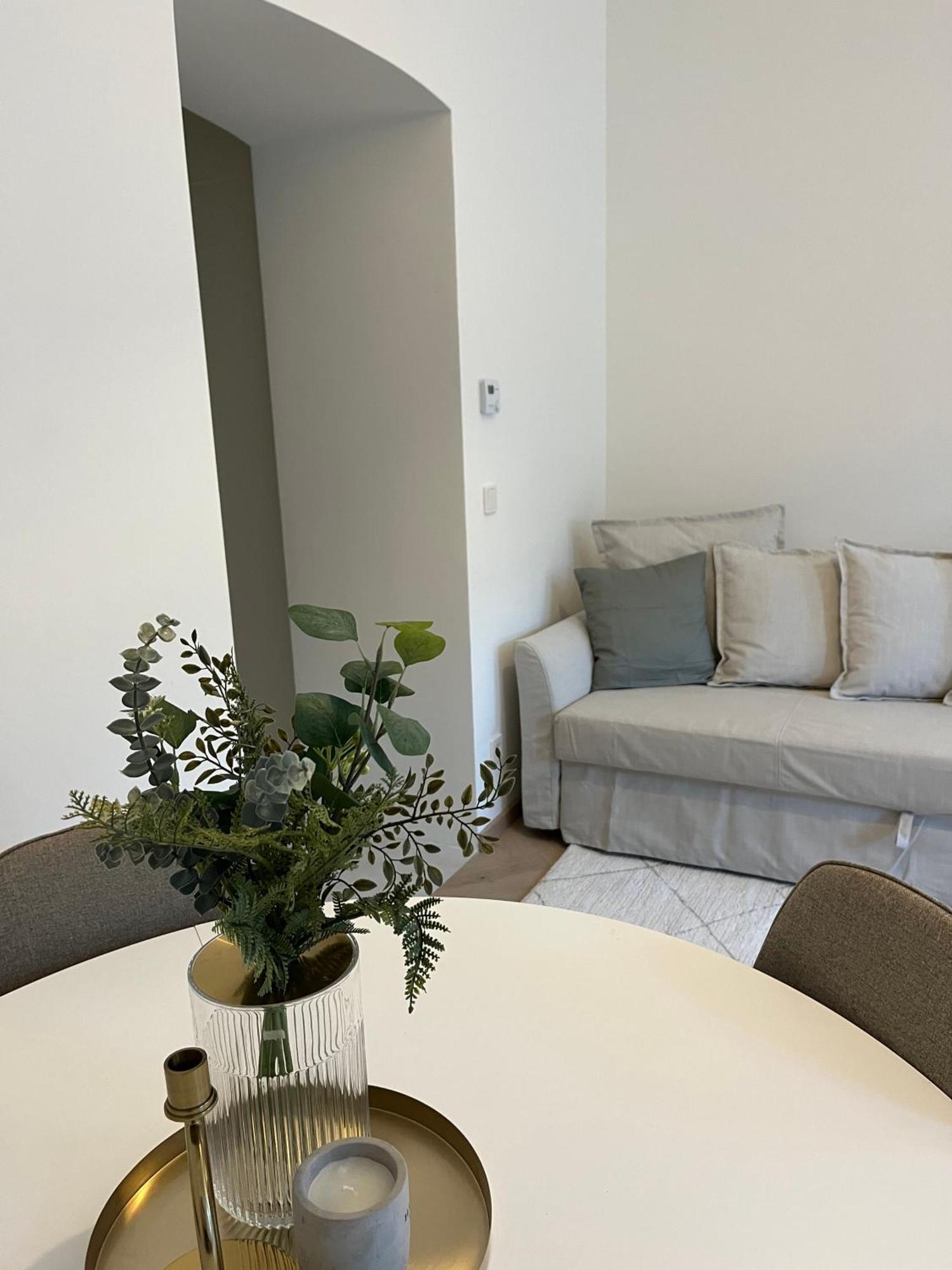 Apartment Luxurious One Near Schoenbrunn Palace Vienna